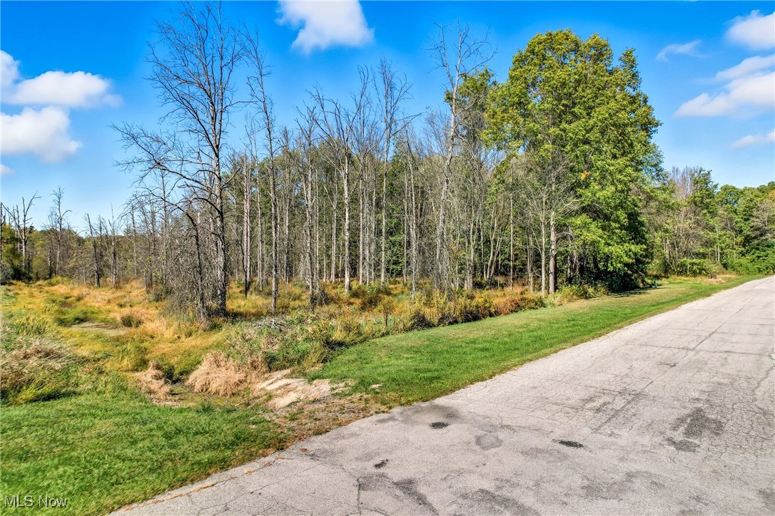 Rustling Pines Ph I - Land