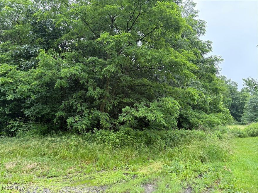 Discover the potential of this 0.72-acre lot in Springfield Township. Nestled in a peaceful residential area, this parcel offers a sense of seclusion while still being conveniently close to major highways and everyday amenities. The land is densely wooded, offering natural privacy and a blank canvas for your vision. Please note: a well and septic system will be needed. Coleman Avenue partially divides the lot, offering unique layout opportunities depending on your plans. Buyers are encouraged to confirm zoning and intended use with the appropriate local authorities. A great opportunity to create something special in a quiet yet accessible location!