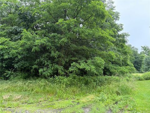 Vacant Land For Sale - 2077 Coleman Avenue<br/> Akron, OH 44312