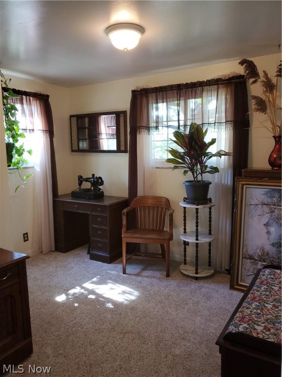 LOUIS STYLE 04 - Residential