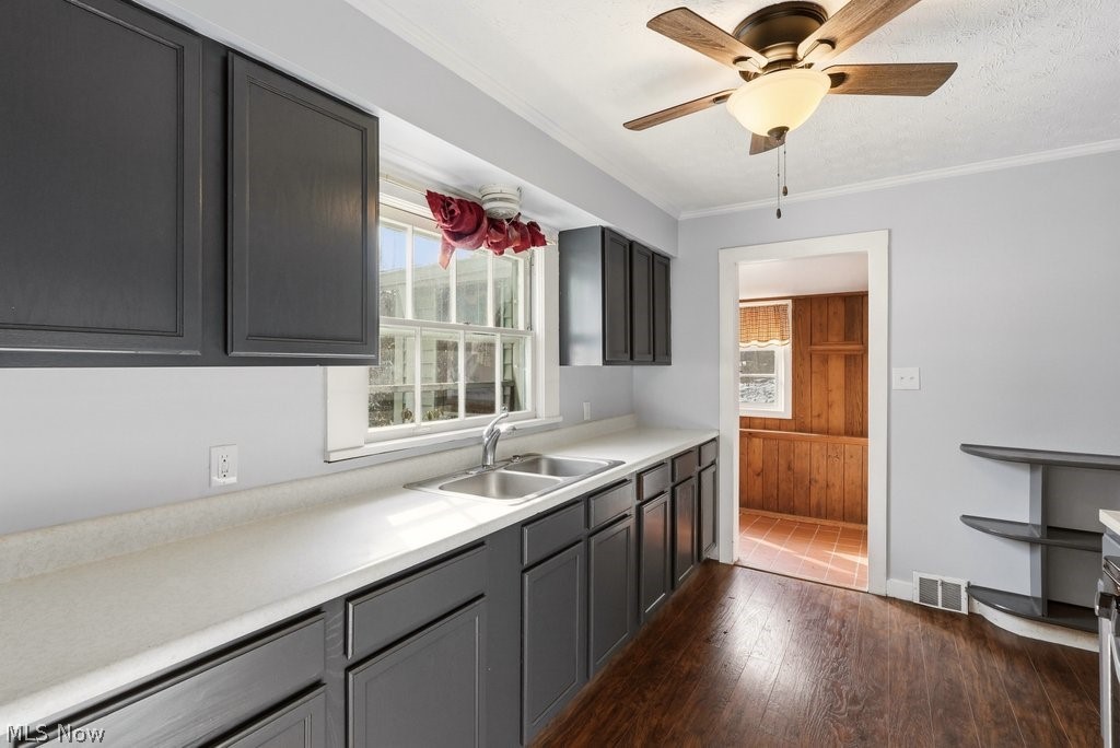 Buena Vista Allotment - Residential