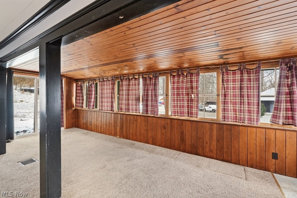 Buena Vista Allotment - Residential