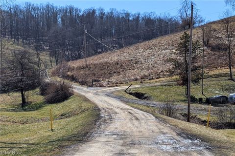 Vacant Land For Sale - Wolf Road<br/> Port Washington, OH 43837