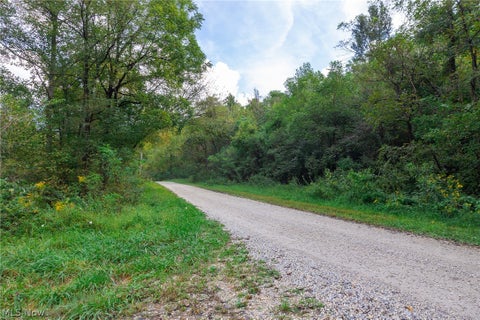 Vacant Land For Sale - 37500 Goose Run Road #1<br/> Noble County, Dexter City, OH 45727