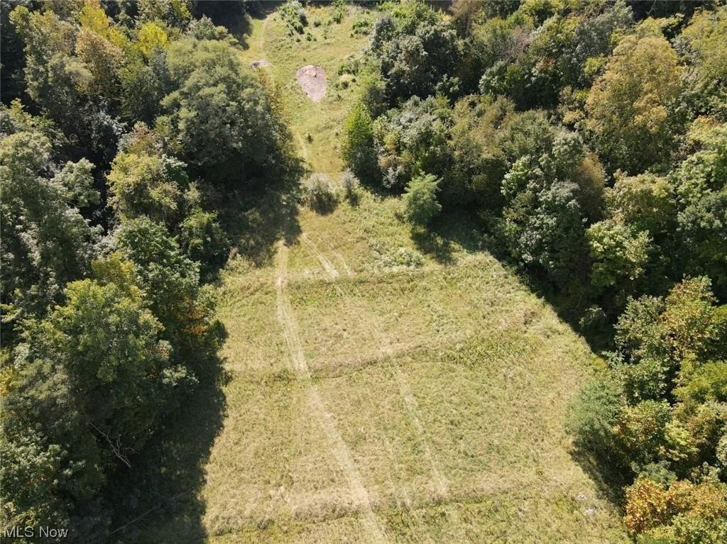 Lochwood Glen, Wooster, Ohio image 1