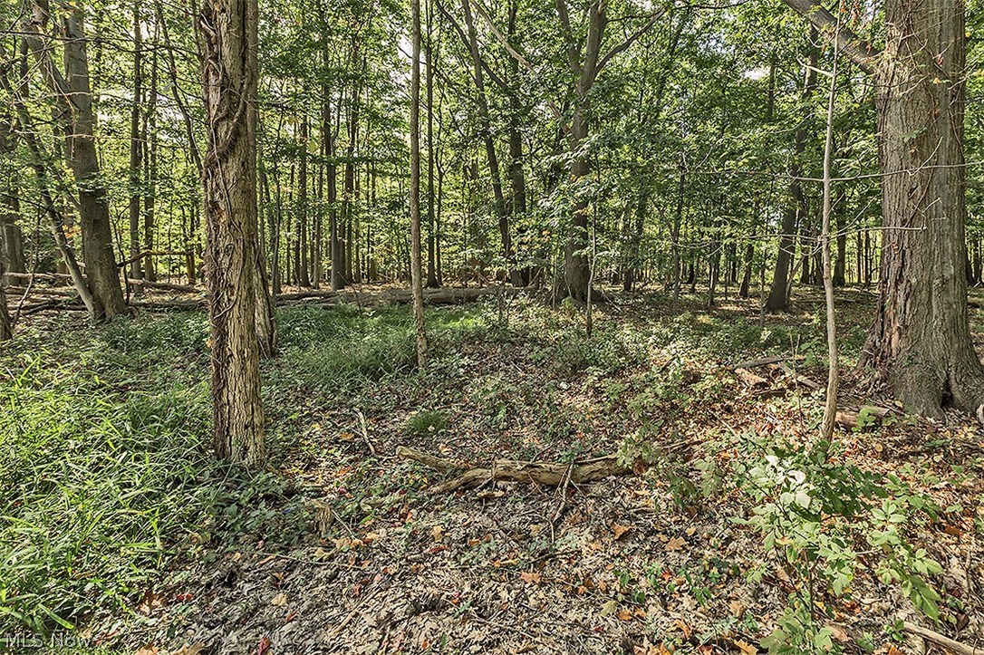 Robbins Resub - Residential