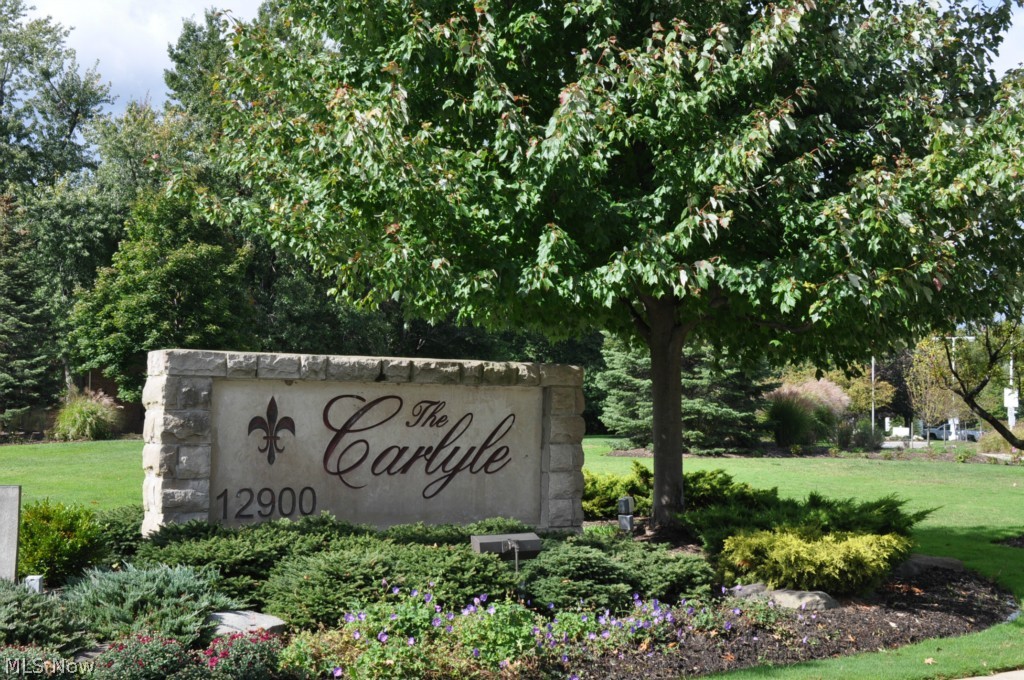 Carlyle Condo - Residential