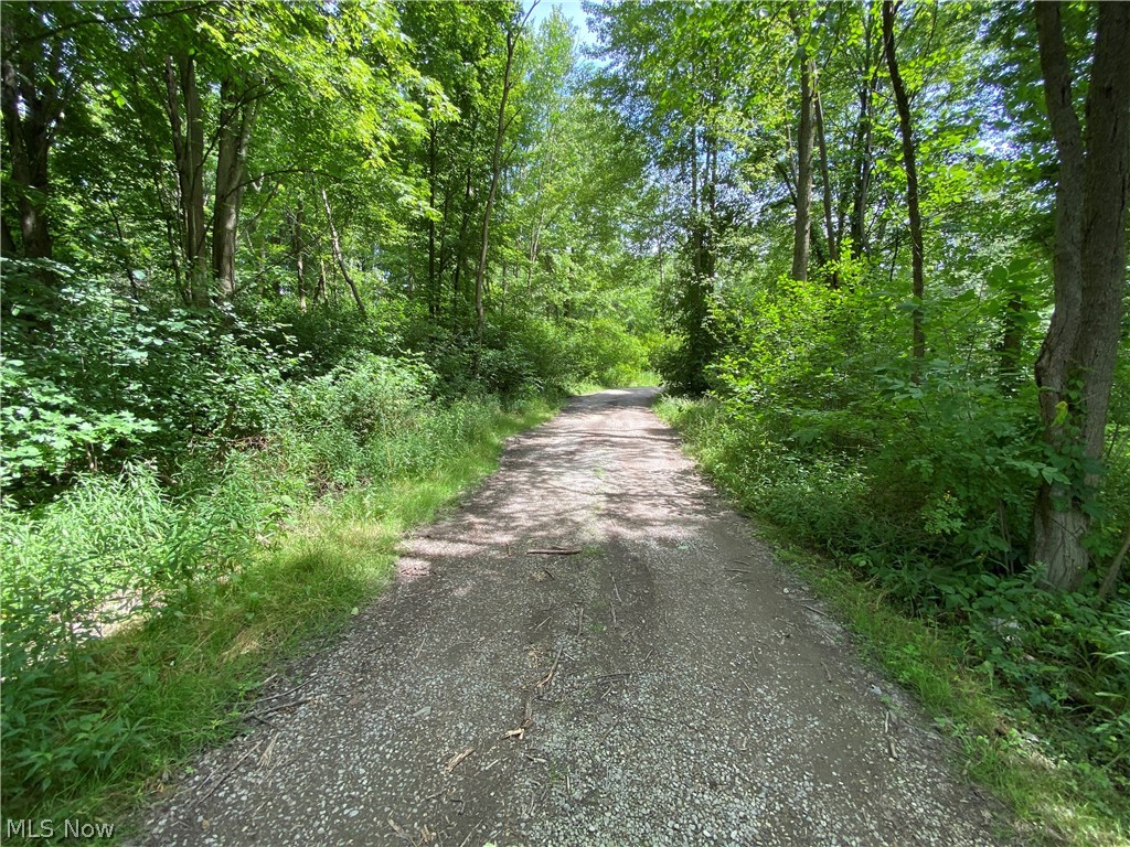 Come out to see this lot on over 5 acres! Plenty of space for recreational activities or to build your dream home!!! Title for the Trailer on the property can convey to new owner. Septic, Well and Electric already on the Property!