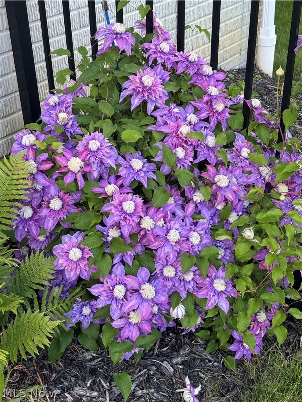 Photo of 2221 Dorchester Drive, Kent, OH 44240 (MLS # 5200041)