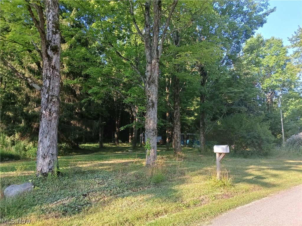 6168 Twitchell Road