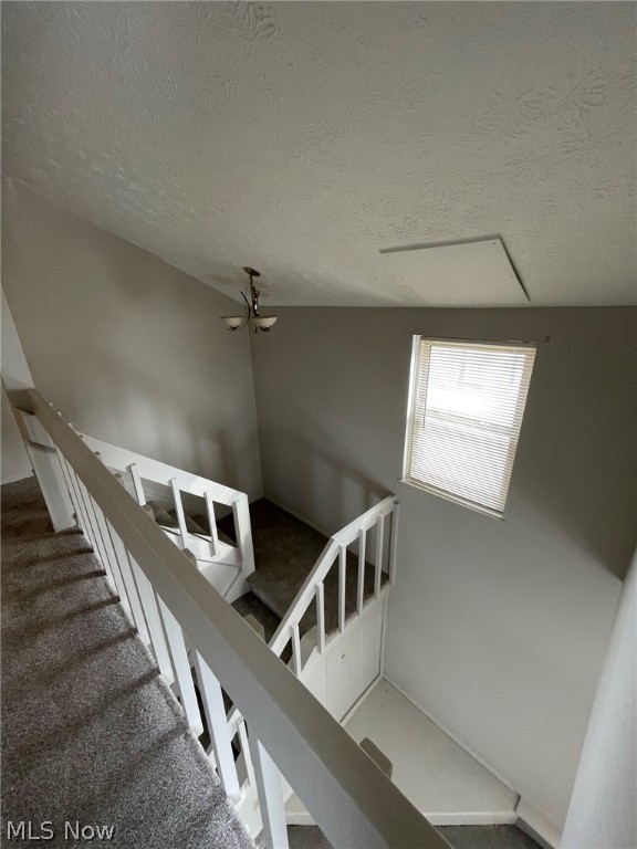 Coventry - Commercial Sale