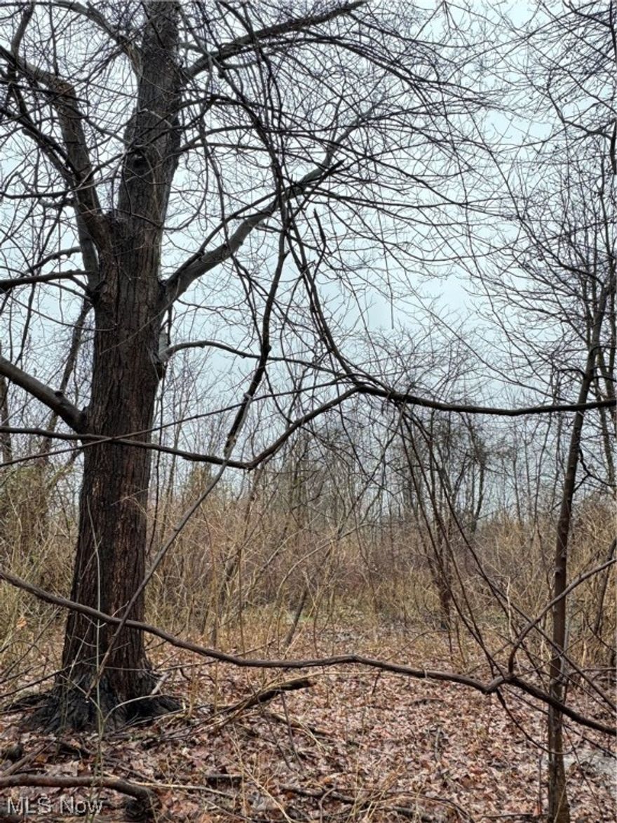 Nice wooded lot in Madison Village. Build your dream home. Close to the Wineries. Additional land available