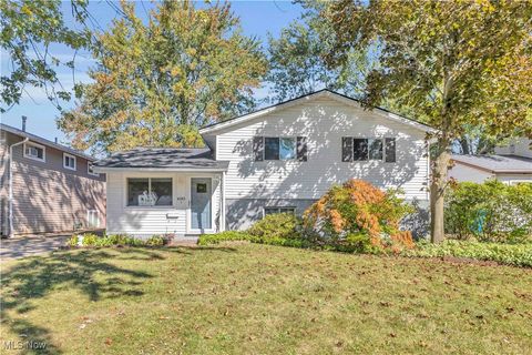 4283 Holl Avenue Sheffield Lake OH 44054