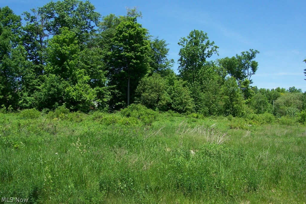 Use your own builder on this deep cul-de-sac lot. Recorded restrictions are 1600 sq. ft. 1 story, 1700 sq. ft. 1-1/2 story, and 1800 sq. ft. 2 story.