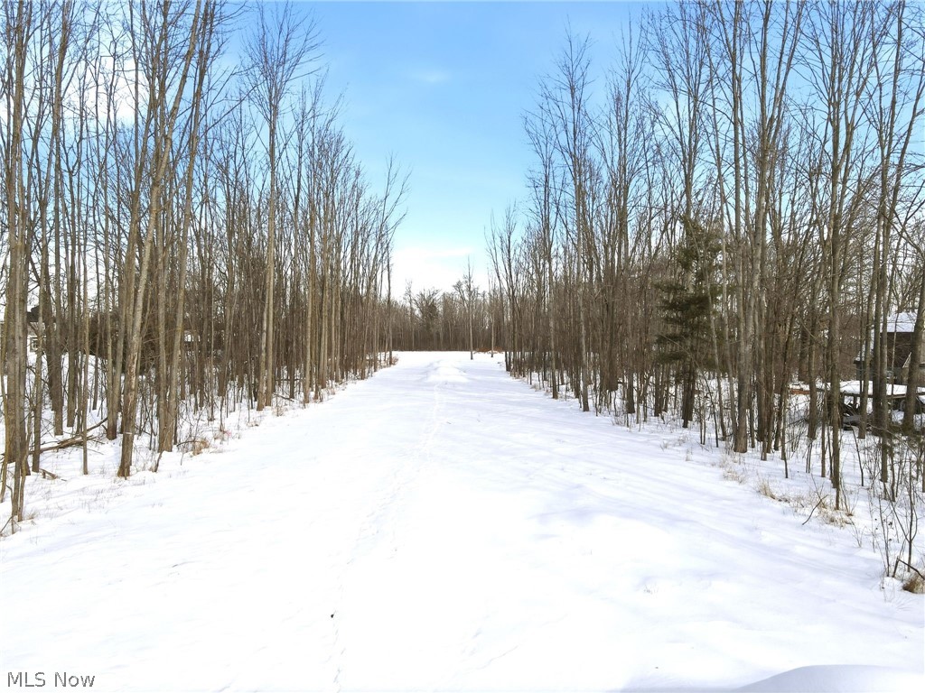 Woodbrdg Sub #1 - Land