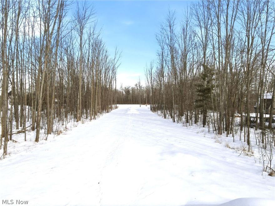 Welcome to 32420 Schwartz Road in Avon, a rare opportunity to build your dream home on 6.1 acres of mostly cleared land in one of the area’s most desirable communities. This expansive parcel offers the perfect balance of openness and privacy, with mature trees lining the perimeter to create a natural buffer while still leaving generous, build-ready space for your custom vision. With public water and sewer available, much of the groundwork is already in place to bring your plans to life. Whether you envision a modern farmhouse, a luxury estate, or a timeless family retreat, this property provides the flexibility to design a home tailored exactly to your lifestyle. There is ample room for a spacious residence, outdoor living areas, a pool, additional garage space, or even a barn or hobby structure depending on your needs. The mostly cleared acreage allows you to thoughtfully position your home to maximize sunlight, privacy, and future landscaping potential. Located in Avon, this property offers convenient access to shopping, dining, parks, and top-rated schools, along with easy connections to major highways for commuting. Opportunities to secure this much land in such a prime location are increasingly rare. 32420 Schwartz Road presents the chance to build your forever home exactly as you imagine it, surrounded by space, privacy, and long-term value.