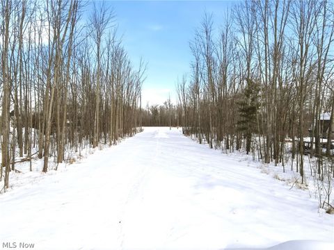 32420 Schwartz Road, Avon, OH 44011 - #: 5185184