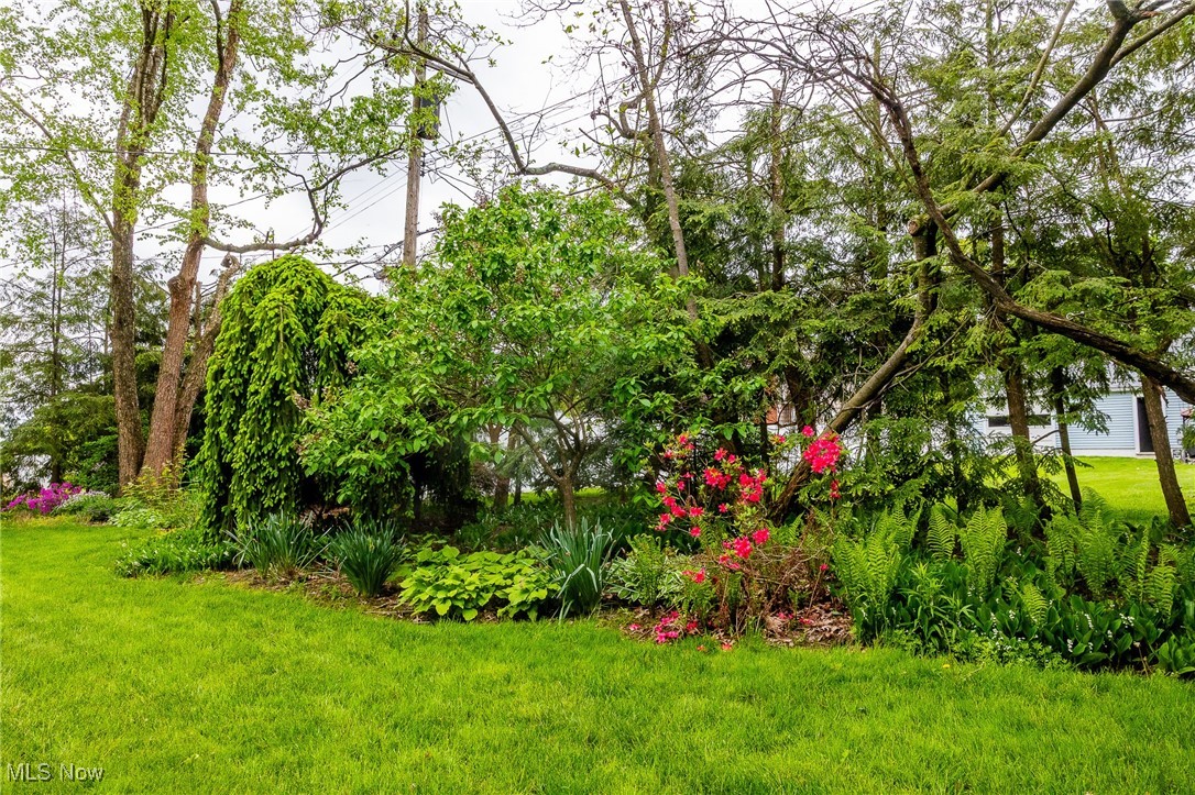 433 Buena Vista Avenue, Ashland, Ohio image 39