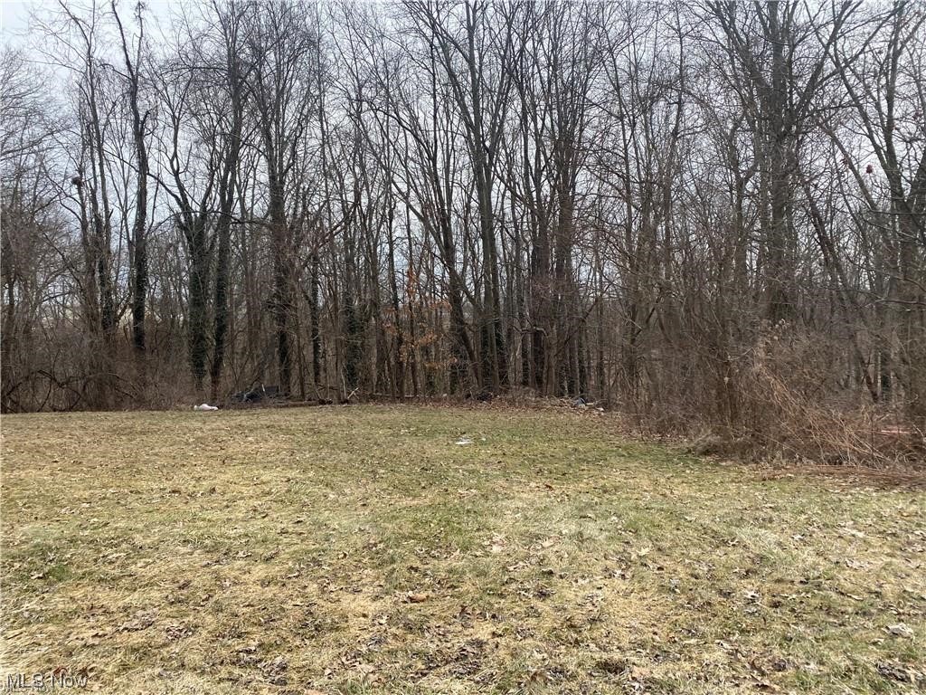 Looking to build? this lot offers a ton of privacy! Situated on a dead end street! Call today to ask about additional lots available! City utilities.