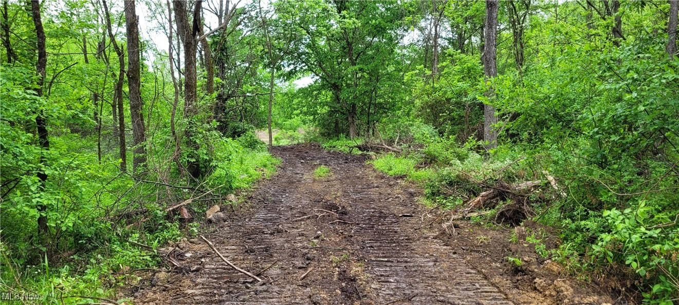 Stockdale Lane, Zanesville, Ohio image 8