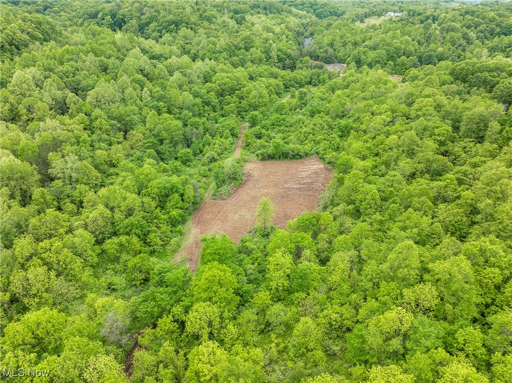 Stockdale Lane, Zanesville, Ohio image 26