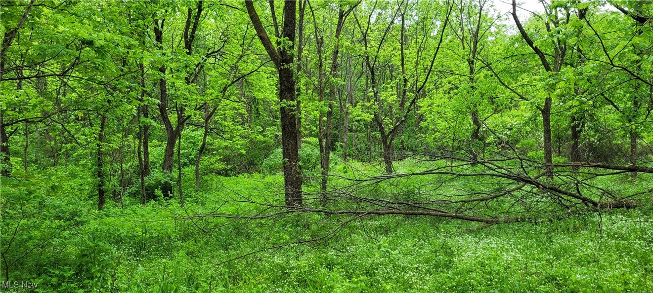 Stockdale Lane, Zanesville, Ohio image 10
