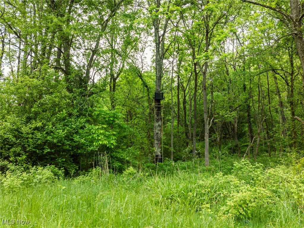 Stockdale Lane, Zanesville, Ohio image 17