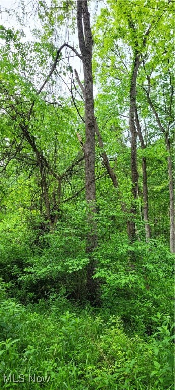Stockdale Lane, Zanesville, Ohio image 23