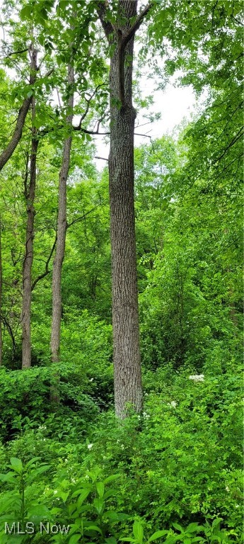 Stockdale Lane, Zanesville, Ohio image 20