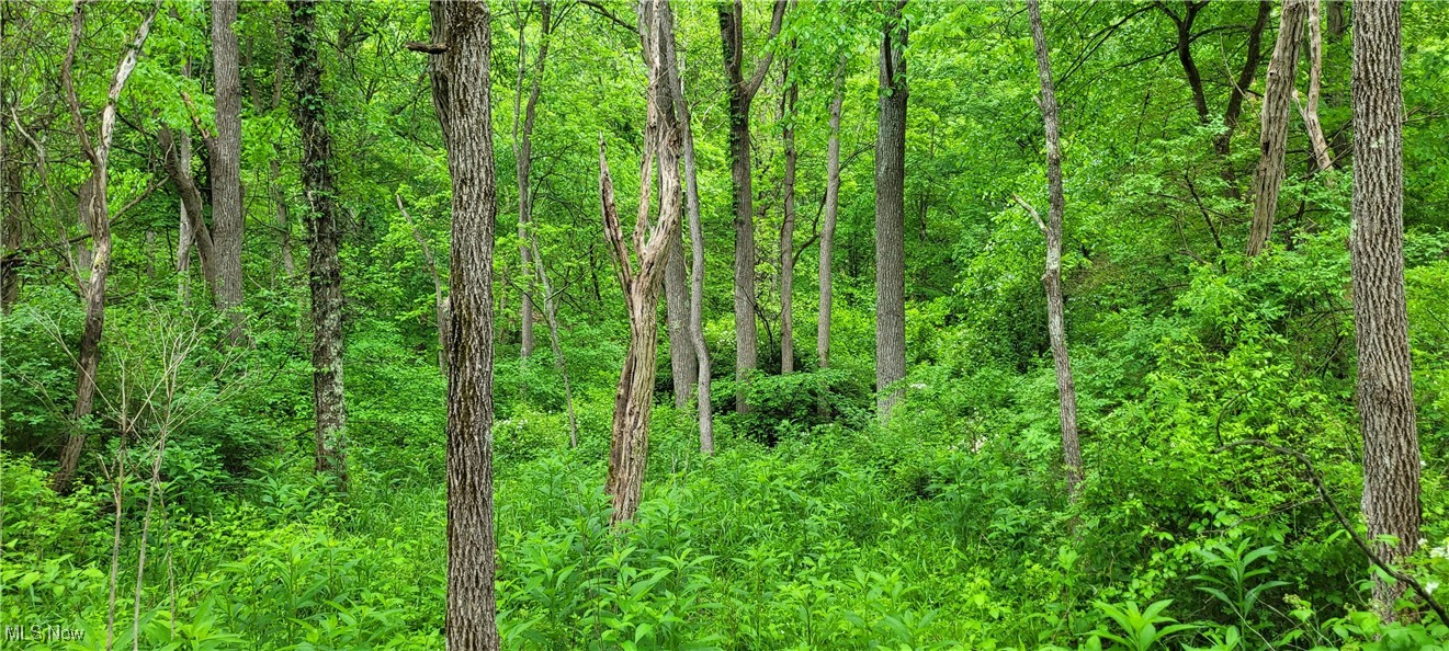 Stockdale Lane, Zanesville, Ohio image 19