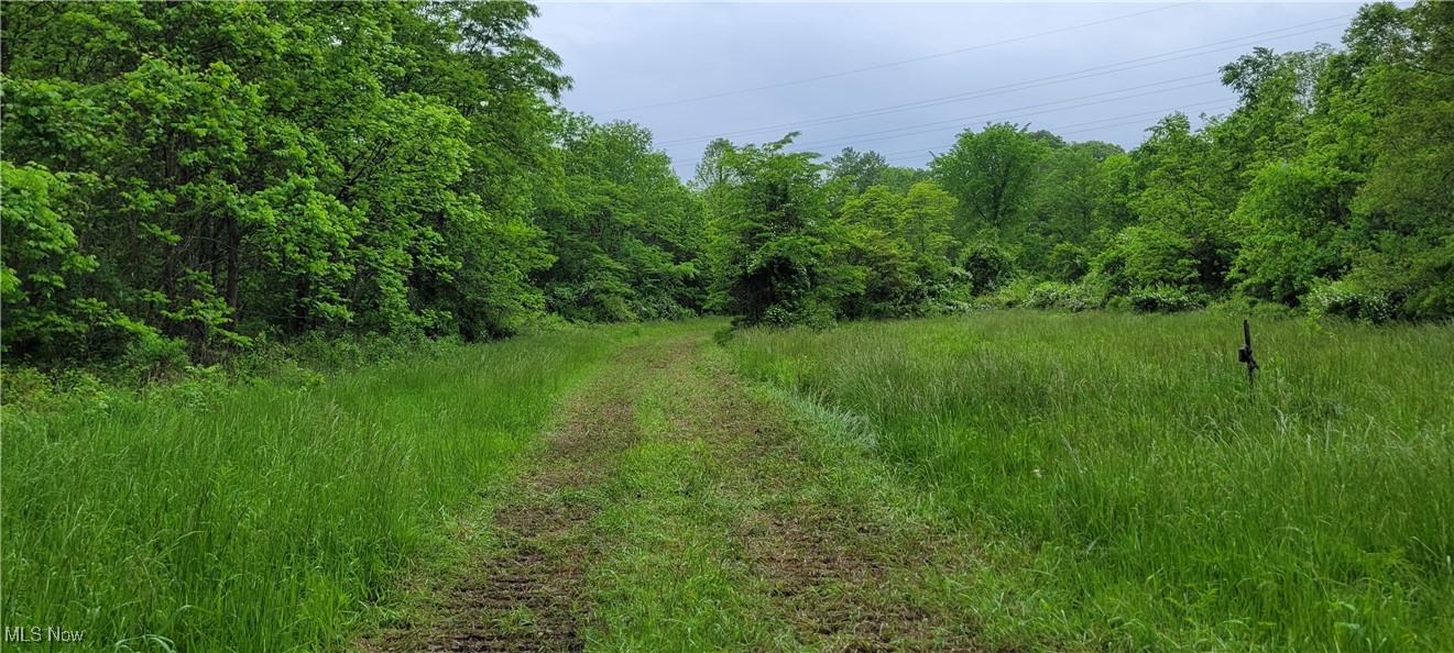 Stockdale Lane, Zanesville, Ohio image 16