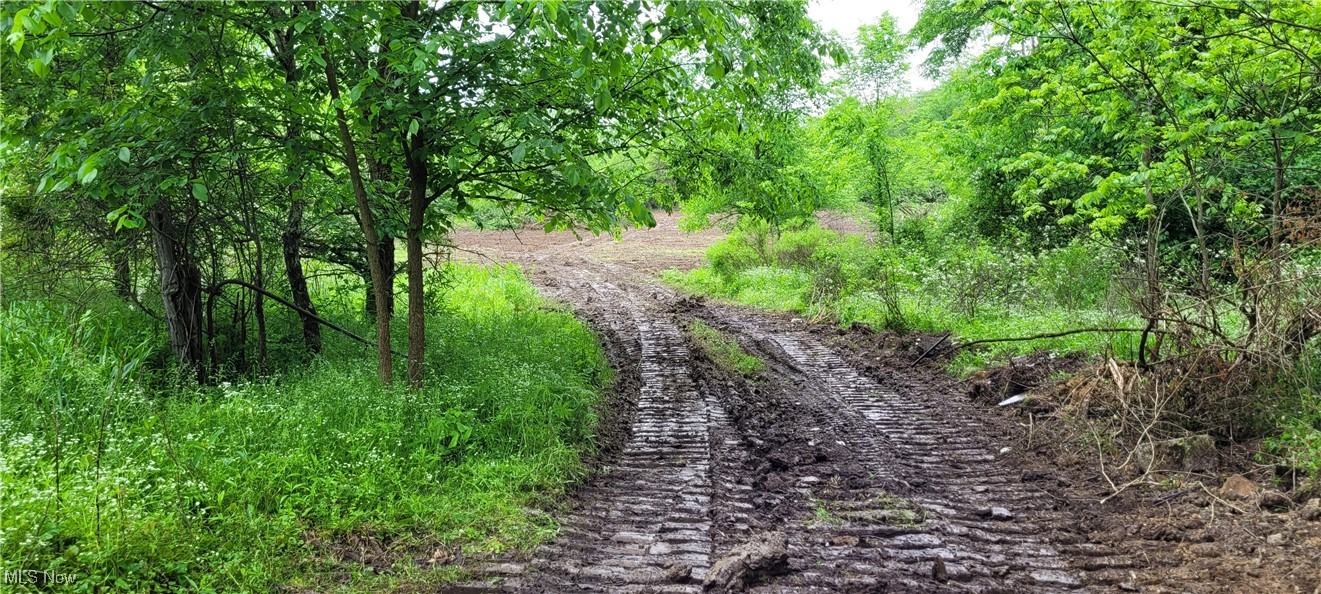 Stockdale Lane, Zanesville, Ohio image 11