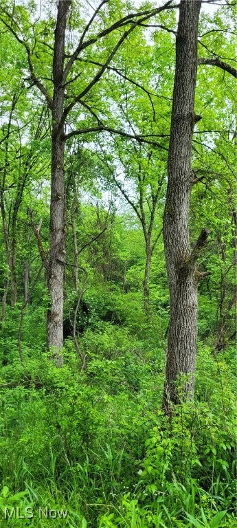 Stockdale Lane, Zanesville, Ohio image 18