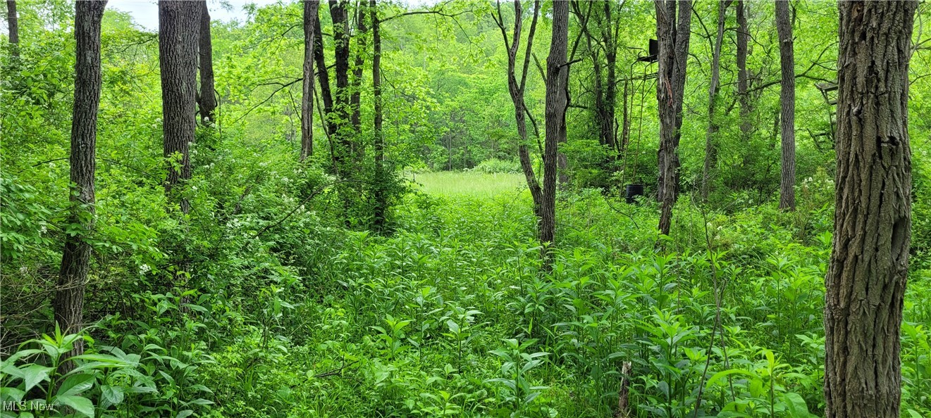 Stockdale Lane, Zanesville, Ohio image 24