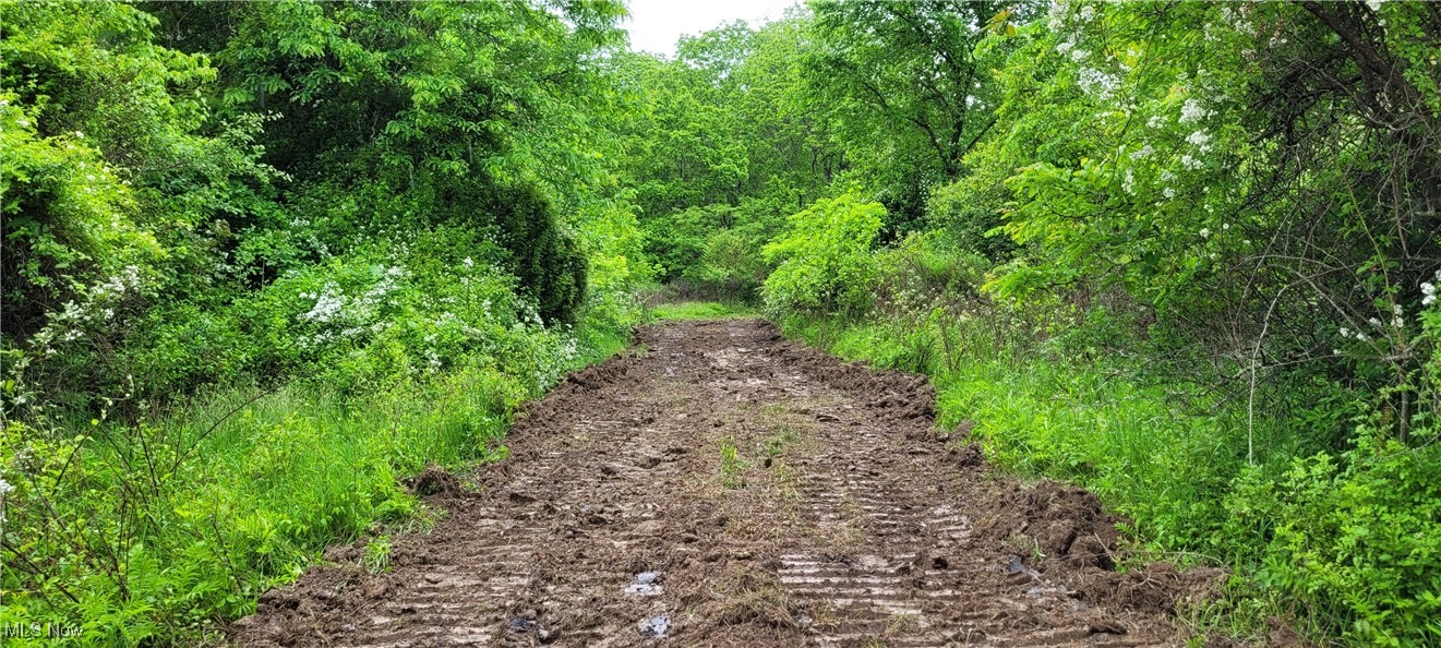 Stockdale Lane, Zanesville, Ohio image 25