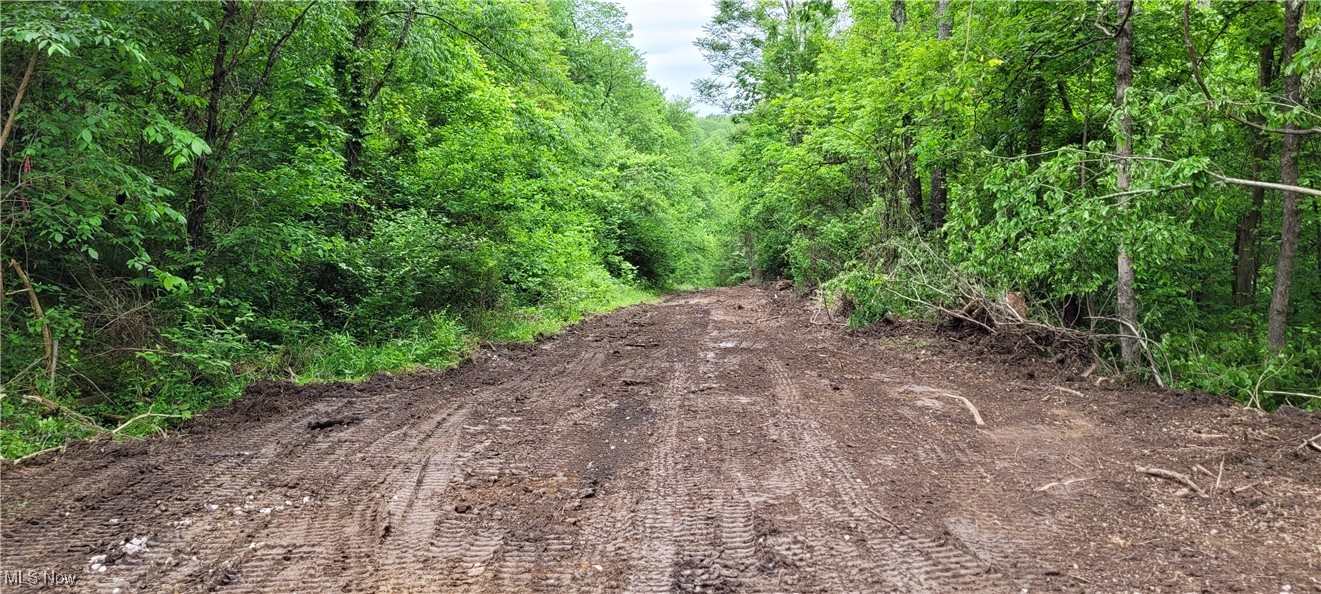 Stockdale Lane, Zanesville, Ohio image 6