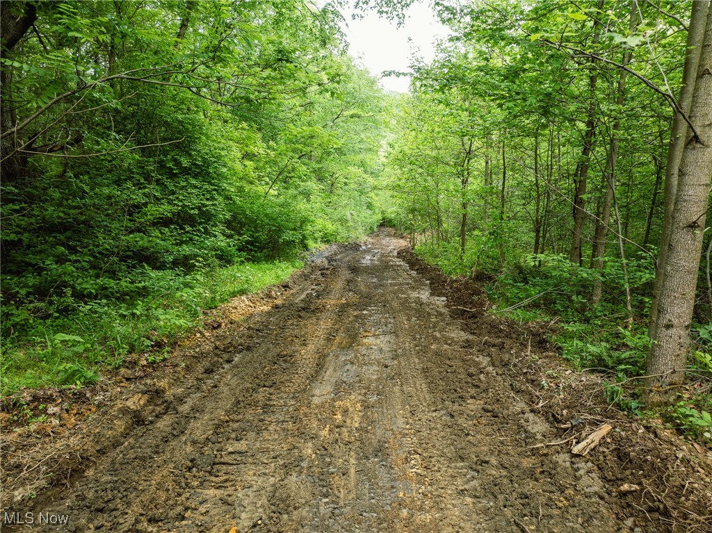 Stockdale Lane, Zanesville, Ohio image 7