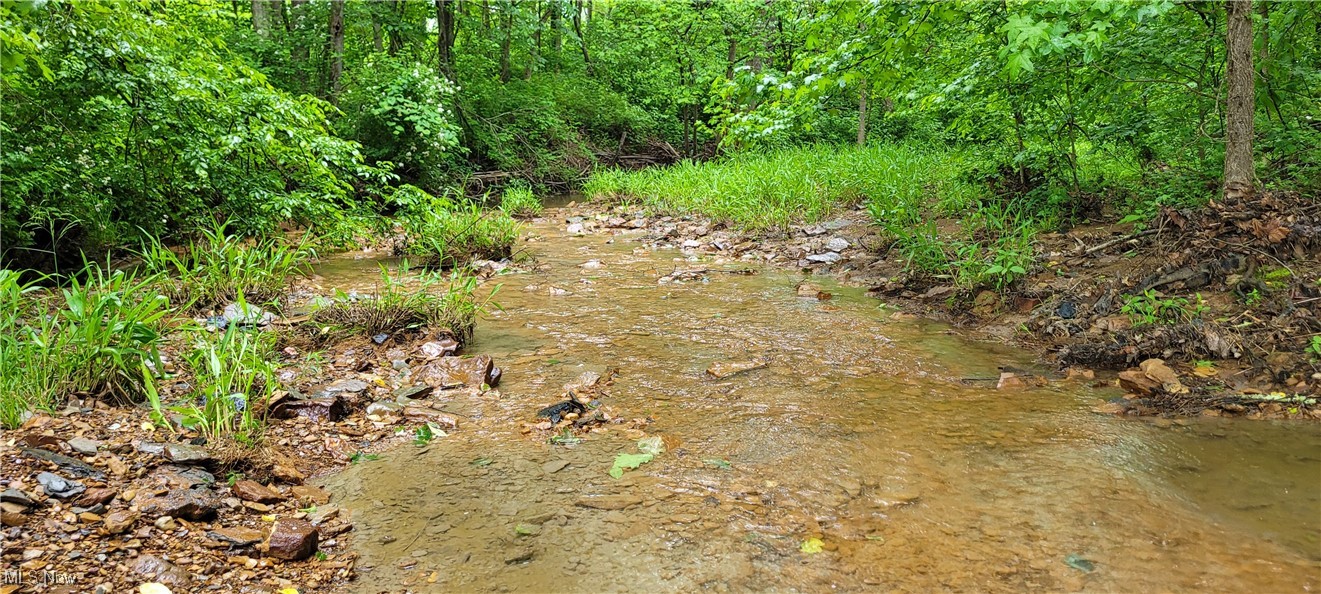 Stockdale Lane, Zanesville, Ohio image 28