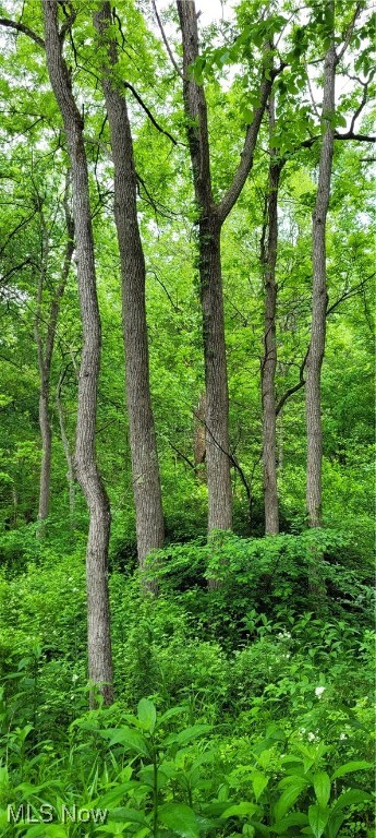 Stockdale Lane, Zanesville, Ohio image 21