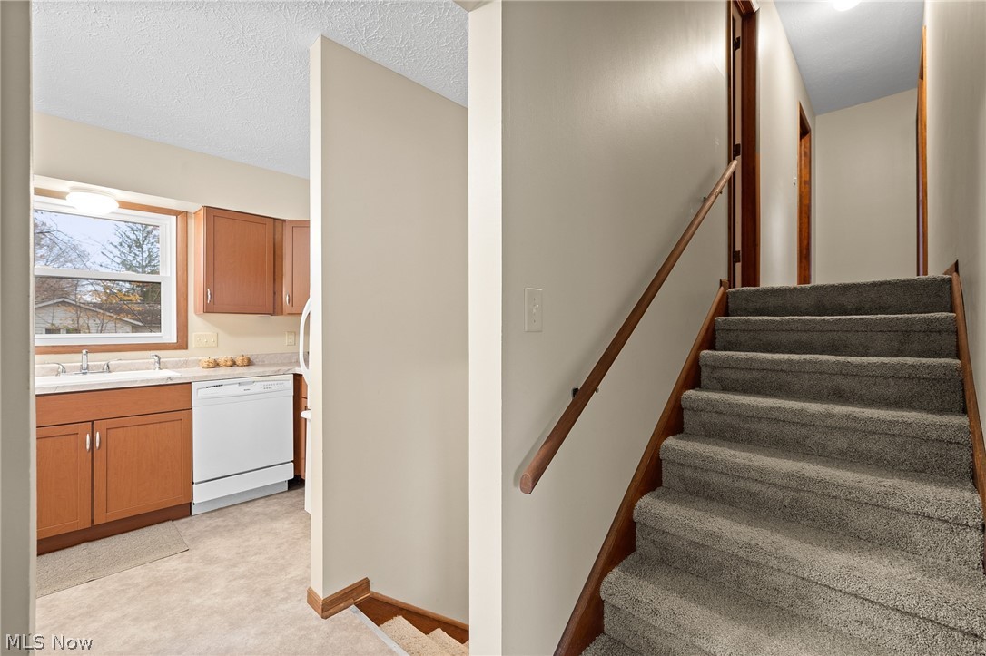 Forest Heights - Residential