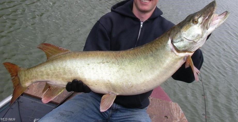 Rockwood Park Allotment #3 - Residential