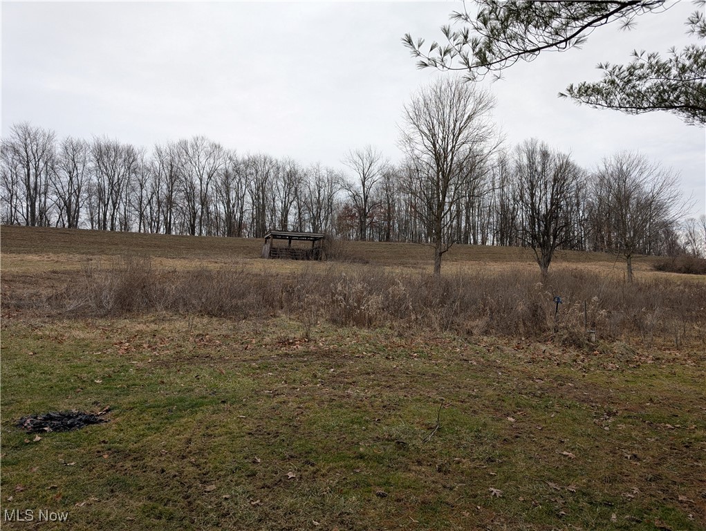 16909 Sligo Road, Kimbolton, Ohio image 4