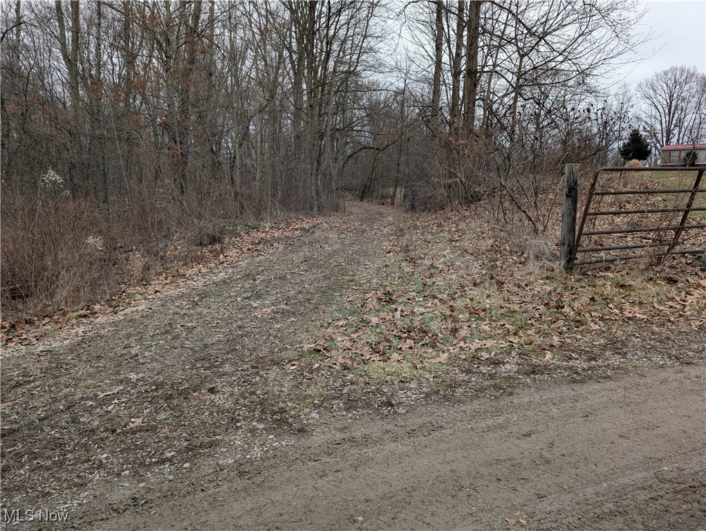 16909 Sligo Road, Kimbolton, Ohio image 39