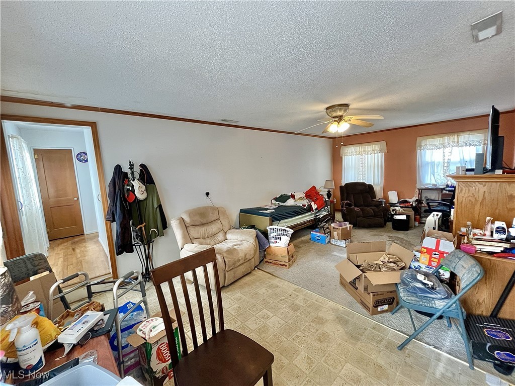 Pasadena Park Allotment - Residential