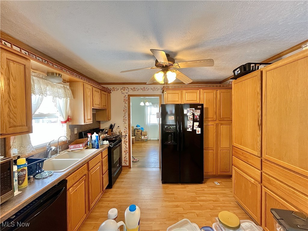 Pasadena Park Allotment - Residential