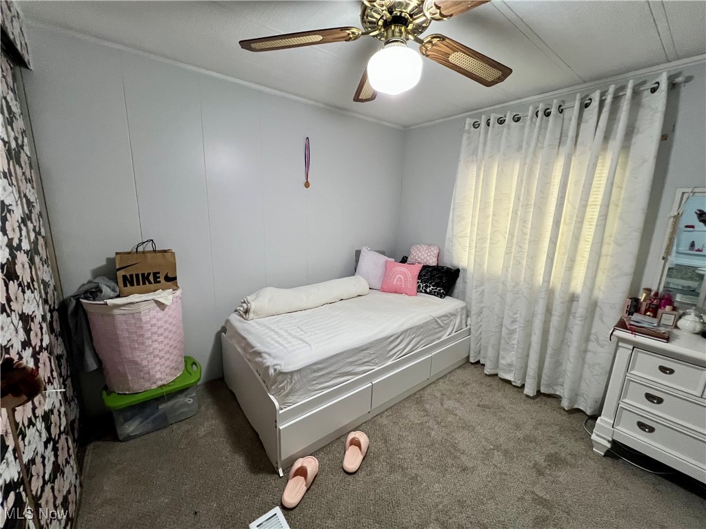 7219 Birchview Drive #19, Ravenna, Ohio image 13