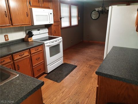 Tiny photo for 6646 4th Avenue, Andover, OH 44003 (MLS # 5210686)