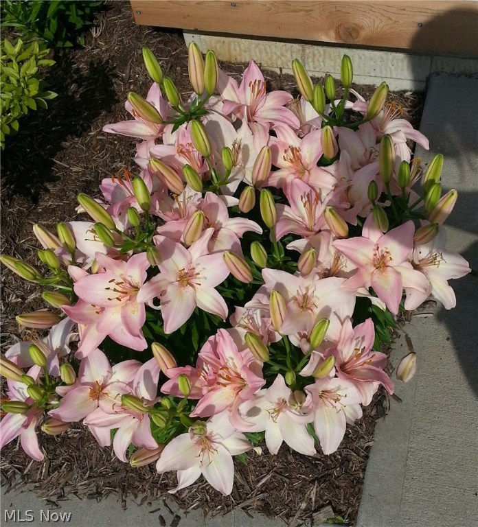 Stoney Creek Estate Ph 2 - Residential