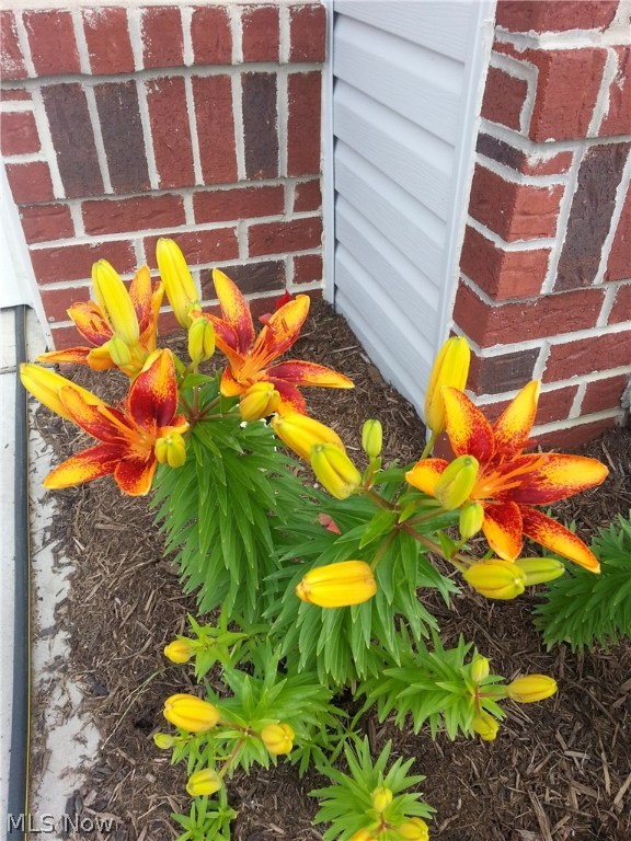 Stoney Creek Estate Ph 2 - Residential