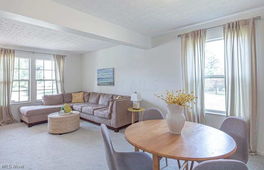 Thornapple Highlands - Residential